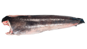 Pez espada DWT Xiphias Gladius, pescado a granel, alto grado nutritivo, bajo en grasa, pescado congelados, pesca salvaje con certificado HACCP GMP - Product Image 2