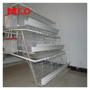 Poultry Cage Chicken Farm Automatic Chicken Poultry Cages Hot Galvanized Cheap Price Egg Layers Cage Poultry Farm House Free Design