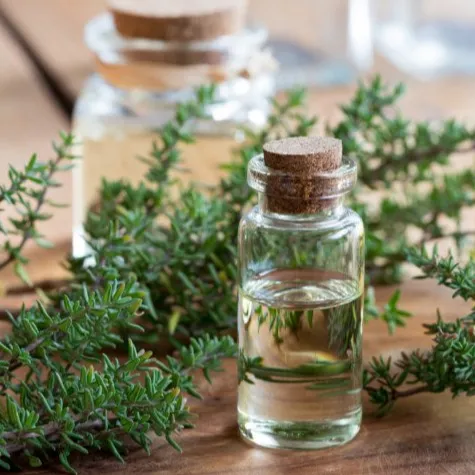 Thyme Natural Oil Pure Essential Thyme Oil