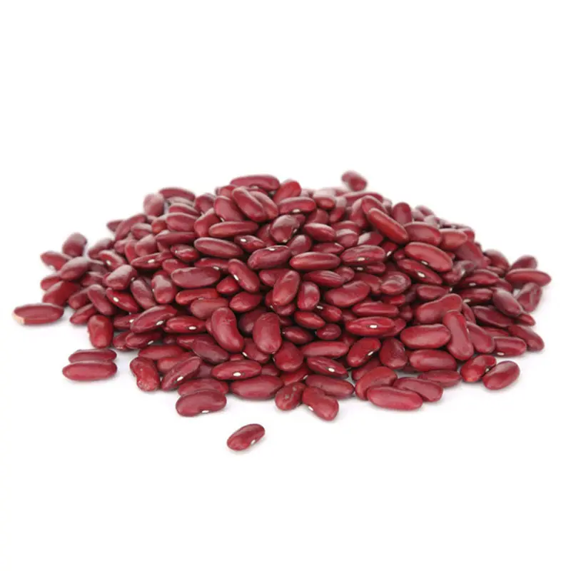 Wholesale High Quality New Organic Purple Dark Red Kidney Beans