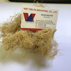 MEJOR PRECIO de GRACILARIA SECA CRUDA/ALGA GRACILARIA DE ALTA CALIDAD // Helen +84 374 288 086 - Product Image 2