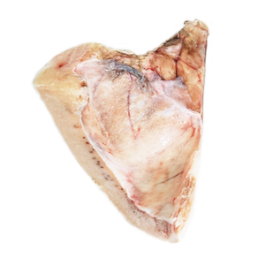 Larhueso de pez espada Natural nutritivo, bajo en grasa, certificación GMP, de la Costa de Marfil del Océano Indio - Product Image 2