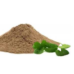 Proveedor Principal de Polvo de Pennywort 100% Natural con Sabor Amargo para Niños y Adultos de Vietnam - Product Image 1