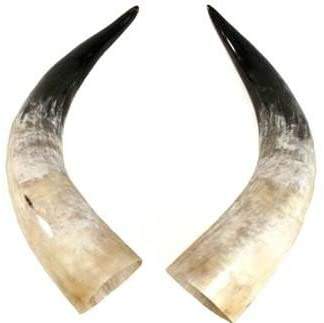 Natural horn color