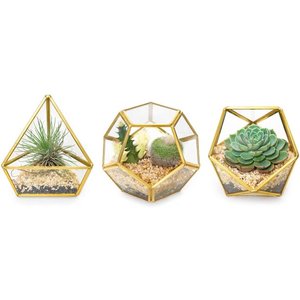 Terrarium 3d — globe suspendu en verre, décoration de terrarium, verre géométrique en forme de diamant - Product Image 3