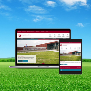 การออกแบบเว็บไซต์ชุมชนออนไลน์ที่ติดอันดับ | บริษัทชั้นนำของการออกแบบเว็บไซต์ชุมชน | การพัฒนาชุมชนออนไลน์ Se - Product Image 3