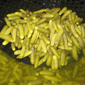 Cornichons & gherkins ในกรดอะซิติก | แตงกวาดองน้ำส้มสายชูพรีเมี่ยม - Product Image 1