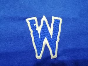 เสื้อกีฬาผ้าฝ้าย100% ของผู้ชายผ้าลูกฟูกสำหรับโปโลลายพิมพ์ DTG สำหรับกีฬาฤดูใบไม้ผลิแบบกำหนดเอง - Product Image 5