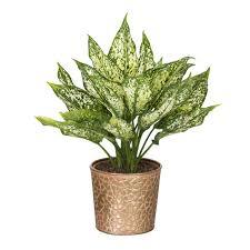 Macetero de metal para plantas y flores de interior, decoración para sala de estar, hogar, terraza, balcón y jardinería, superventas - Product Image 5