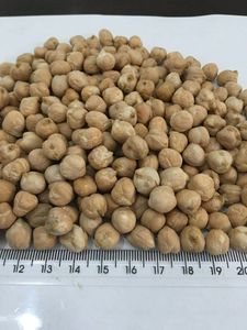 Chicpeas mejor calidad orgánica Kabuli garbanzos/garbanzos frijoles secos naturales guisantes de alta calidad al por mayor - Product Image 5