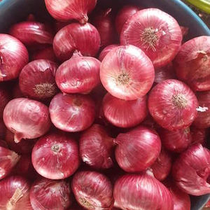 Gros oignons par fournisseurs d'oignons sur prix de l'oignon rouge - Product Image 2