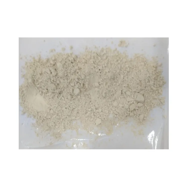 Polvere di Kachur Sugandhi di erbe pura e naturale di vendita calda di alta qualità (curcuma bianca) per gli acquirenti all'ingrosso