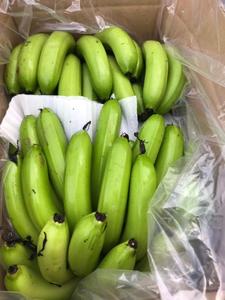 BANANE FRAIS DU VIETNAM AVEC NORME D'EXPORTATION - Product Image 3