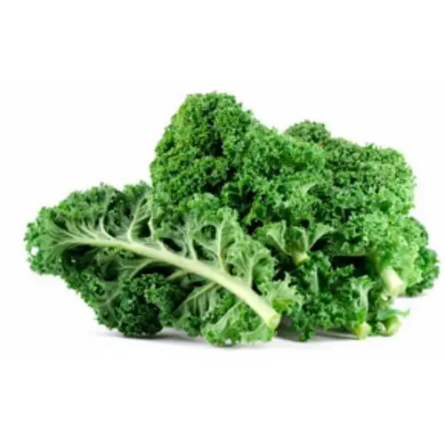 Fresh kale / Fresh Vegetable