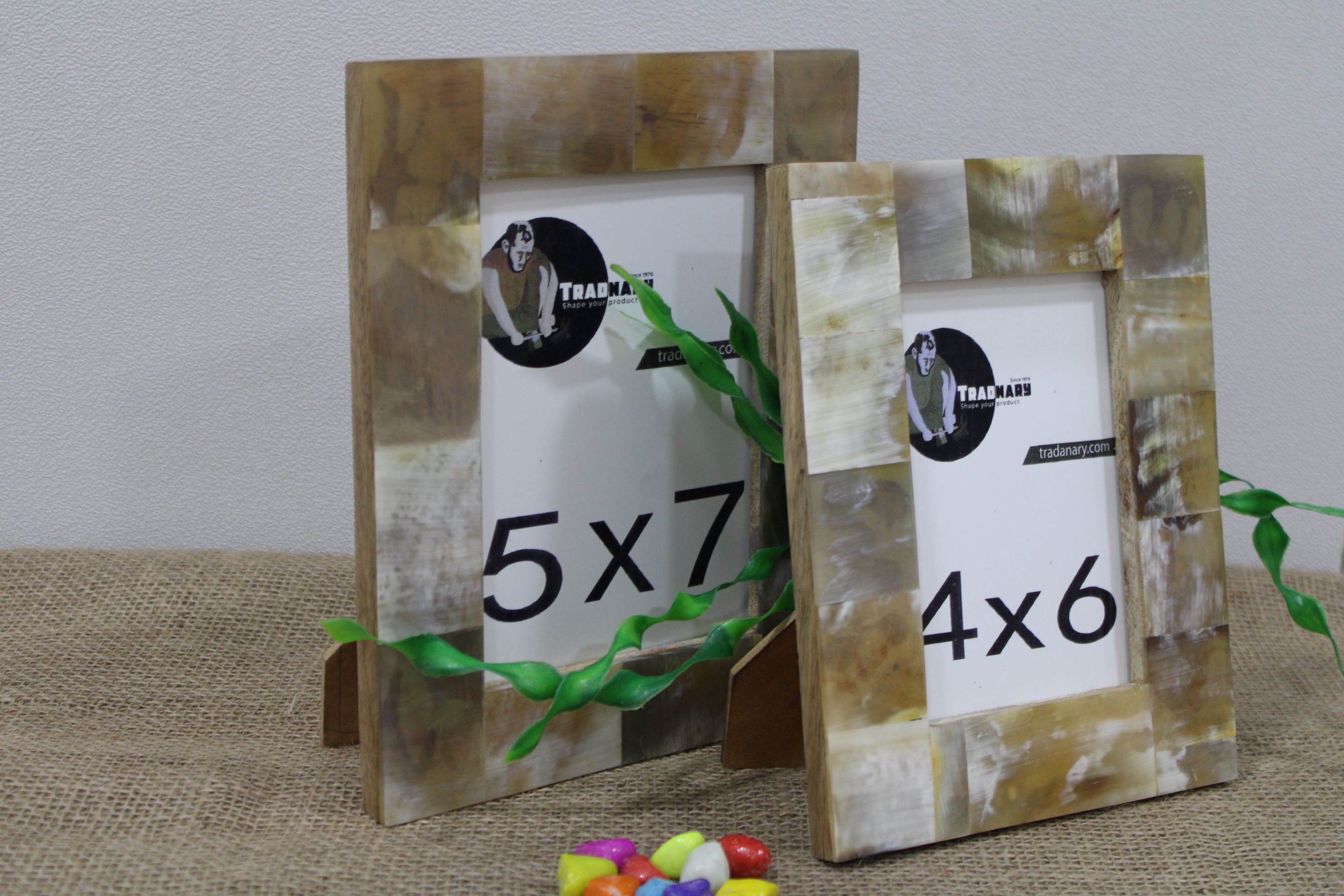 Natural Buffalo Horn