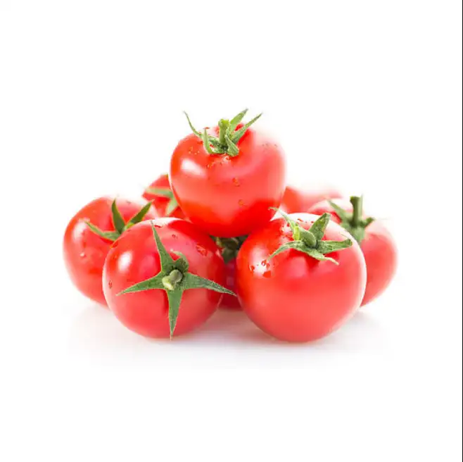 Fresh Cherry Tomato & Fresh Plum Tomato For Sale