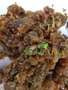 Gum Guggul Pure Grade for Extract - High Guggalsterones E & Z Count - Product Image 5