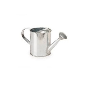 Mini canette à eau moderne en métal et acier inoxydable, Pot d'arrosage rond unique, offre spéciale, nouveautés - Product Image 1