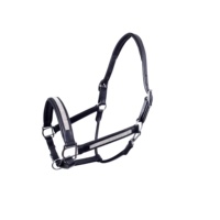 DD - Cabestros Ingleses de Cuero Suave Negro para Montar a Caballo, Hechos a Mano con Hebillas de Latón, Marca LLT, Proveedores y Exportadores de Confianza