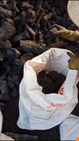 2020 Offre Spéciale de haute qualité café charbon de bois narguilé Shisha longue durée de combustion prix pas cher échantillon gratuit Viet Nam système de chauffage