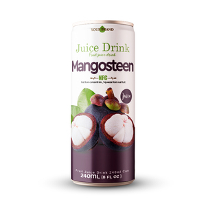 Jus de Mangoustan Aromatisé à l'Asiatique de Haute Qualité, Meilleur Rapport Qualité-Prix, en Canette Aluminium Slim 250ml, Vente en Gros de Boissons OEM - Product Image 2