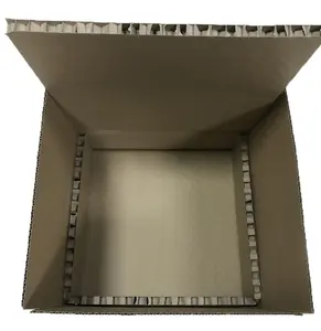 Kotak Karton Rantai Dingin dengan Alumunium Foil, Kotak Karton Rantai Dingin dengan Lapisan Aluminium untuk Makanan Laut Beku/Daging