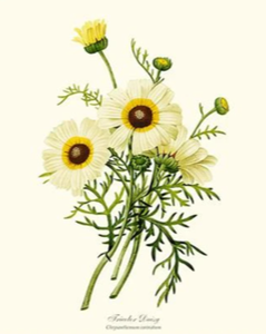 Serviettes de cuisine en silicone, linge à thé ou à la mode - Product Image 4