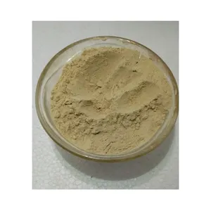 100% Pure Best Quality Top Selling Piper Nigrum Extract Powder at Competitive Price from Indian Supplier