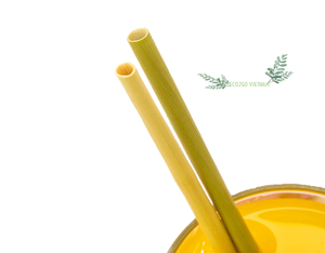 Pajitas biodegradables de hierba Natural para beber, fabricante vietnamita de Eco2go, gran oferta - Product Image 1