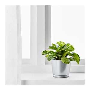 Pot de plantes galvanisé 9 cm, livraison gratuite, en argent - Product Image 3