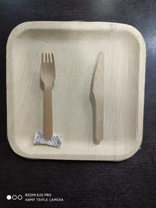 Cuencos y platos desechables ecológicos de hoja de palma Areca, patrón de planta único, grabado, tipo de plato biodegradable - Product Image 4