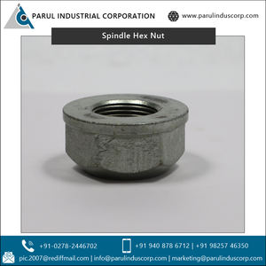 การผลิตตามสัญญาความแข็งแรงสูงที่กำหนดเองทำสแตนเลส M22 * 1.5แกน Hex Nut - Product Image 5