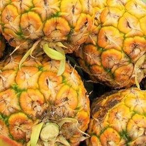 2024สับปะรดกระป๋องในน้ำเชื่อมเบาๆผลไม้ปอกเปลือกรสหวาน - Product Image 4