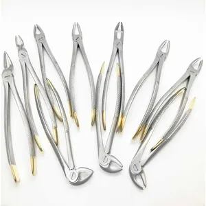 Pinces à extraction dentaire en acier inoxydable, Instruments dentaires, avec motifs anglais, applicateur, 10 pièces