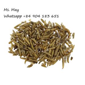 Ms May + 84 2021-mosca negra seca orgánica para soldado, alta calidad, 904183651 - Product Image 3