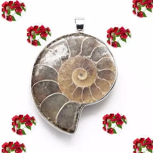 Genuino ammonite fossil 925 ciondolo in argento, monili di estate del commercio all'ingrosso del fornitore