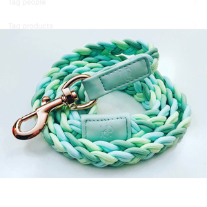 <b>Dog</b>/Cat <b>Leash</b> - AQUA MINT - Plaited - Product Image 1