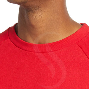 Sweat-shirt d'hiver à manches longues pour homme, nouveau design 2025, 100% coton molletonné, écologique, personnalisable - Product Image 5