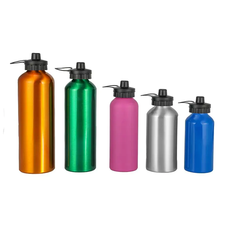 Bouteilles d'eau en aluminium sans BPA, capacité de couleur personnalisée 500ML 750ML 1000ML