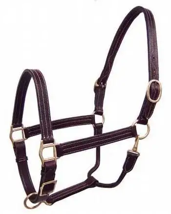 Track Horse Halter Made by Indian Manufacturers Customised Handcrafted Triple Stitching Double Layered Leather Australian Saddle