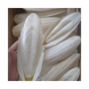Os de seiche blanc et nettoyer, minéraux pour les oiseaux et les reptiles, riche en minéraux - Product Image 3