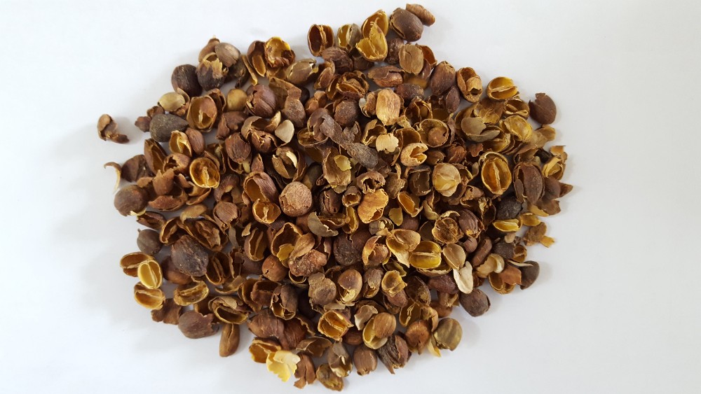 welchen dünger für walnussbaum Purgrün Bio-Walnussbaum-Dünger 1 kg main image 1