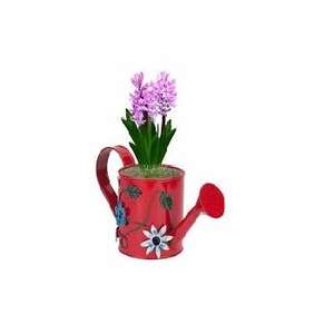 Diseño de flores rojas, lata de agua de jardín de Metal galvanizado, jardín doméstico, riego decorativo, maceta para exteriores - Product Image 1