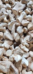 VIETNAM MEILLEUR PRIX CHAMPIGNONS BIOLOGIQUES DE HAUTE QUALITÉ (MS.LAURA) - Product Image 3