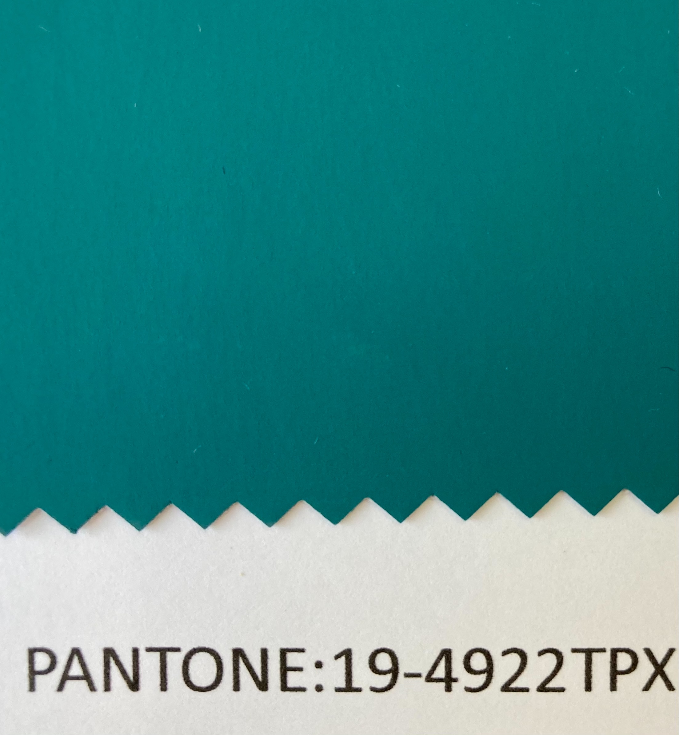 19-4922TPX
