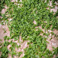 Sencha de té verde orgánico, venta al por mayor, 8912, 8913
