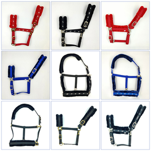 Vente chaude Durable PP Nylon Horse Halter Personnalisable Couleurs et Tailles à Prix D'usine Matériau En Cuir De Haute Qualité - Product Image 4