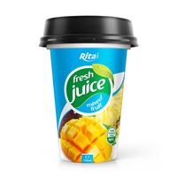 Fabrikant Directe Puree Drank Uit Vietnam Cocktail Vruchtensap Frisdrank Groothandel