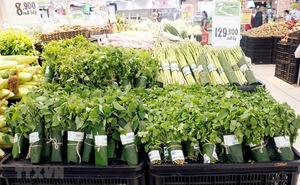 Feuille de banane fraîche écologique, 1 pièce, pour emballage vert - Product Image 6