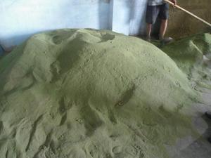 Poudre d'algues vertes pures ULVA LACTUCA pour l'alimentation animale, certifiée HACCP et ISO, emballée en sac - Product Image 2